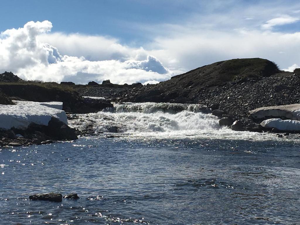Asele Camping Villa Eksteriør billede