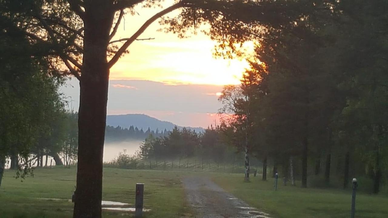 Asele Camping Villa Eksteriør billede